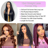 Brazilian Straight Lace Front Human Hair Wig